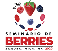 Canvas Logo